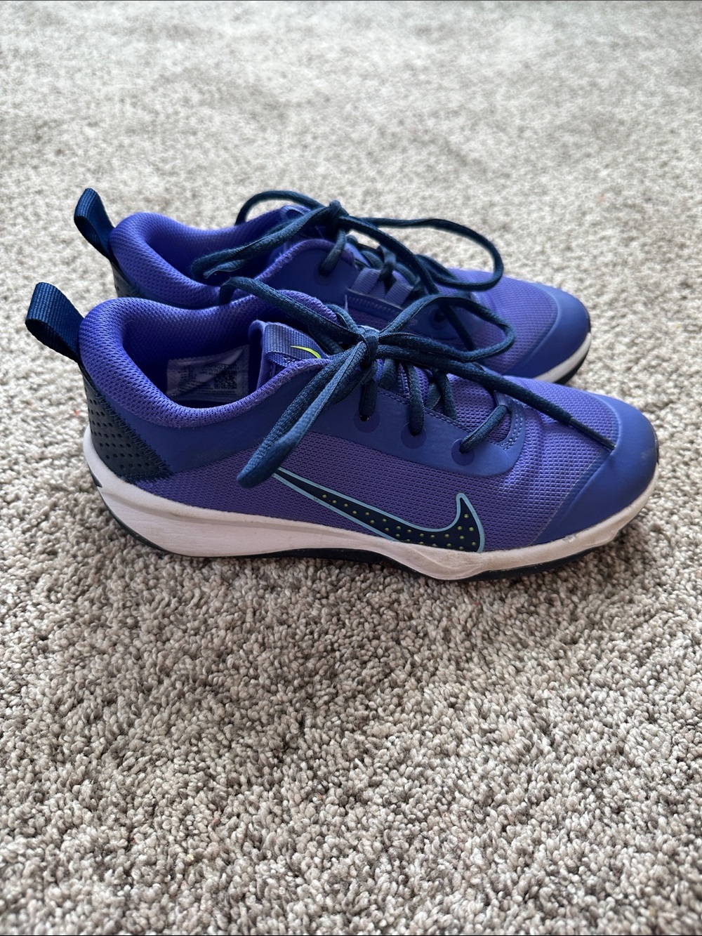 Nike Omni Multi-Court GS 'Persian Violet girls shoes